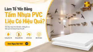làm tổ yến bằng tấm nhựa PVC