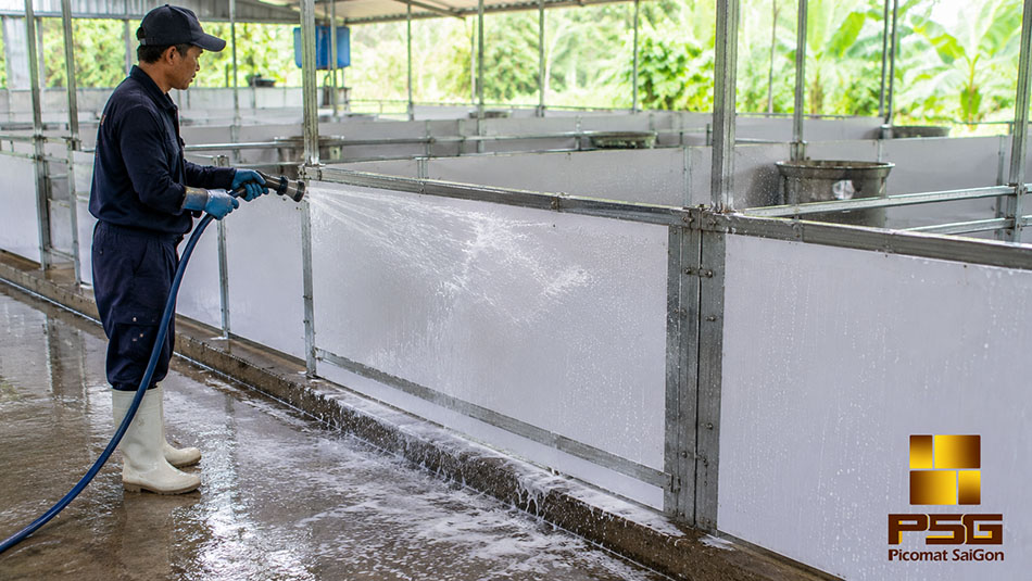Chuồng Heo Bằng Tấm Nhựa PVC: Giải Pháp Chăn Nuôi Hiệu Quả 7 Làm chuồng heo bằng tấm nhựa PVC Plasker
